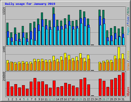 Daily usage for January 2019