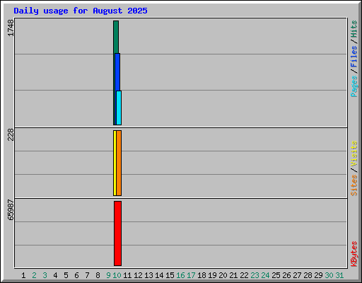 Daily usage for August 2025