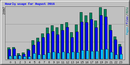 Hourly usage for August 2016