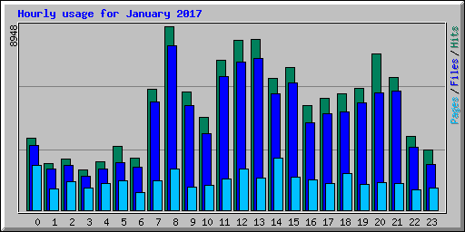 Hourly usage for January 2017