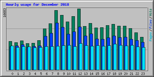 Hourly usage for December 2018