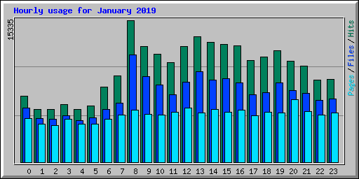Hourly usage for January 2019