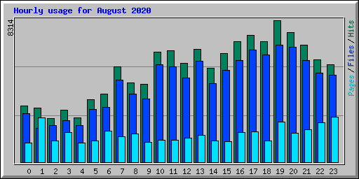 Hourly usage for August 2020