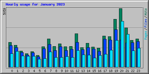 Hourly usage for January 2023