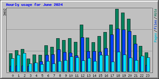 Hourly usage for June 2024