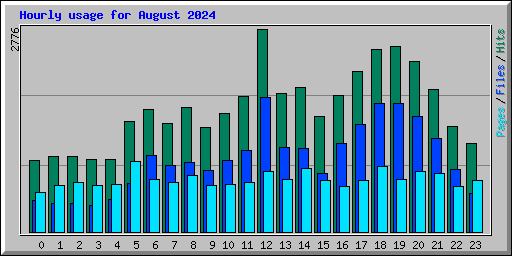 Hourly usage for August 2024