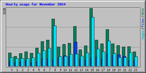 Hourly usage for November 2024
