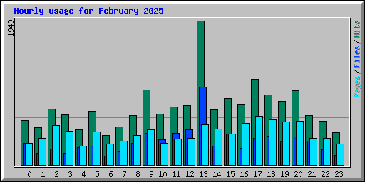 Hourly usage for February 2025