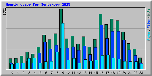 Hourly usage for September 2025