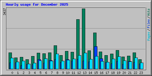 Hourly usage for December 2025