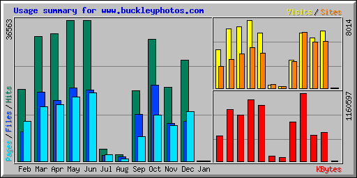 Usage summary for www.buckleyphotos.com